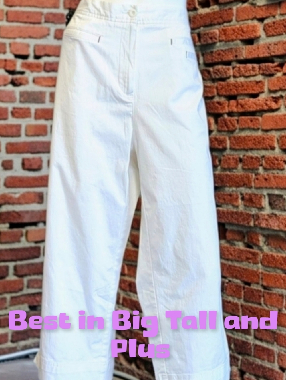 HP🌼NWOT INC Wide Leg Crop Pants With Top Welt Pockets